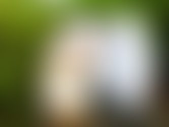 Construire une filière inclusive et résiliente :  Le défi de l’apiculture au Sénégal