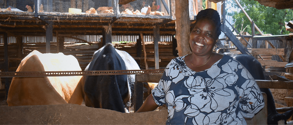 PHOTO: Jane Karambu, a model dairy farmer in Meru whose dedication and partnership with the VETS program have transformed her farm.