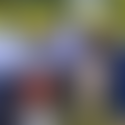 PHOTO: Riley delivering a calf health and nutrition training.