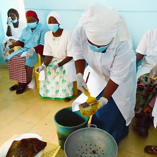 Formation des femmes sur la transformation des produits de la ruche Crédit : Ibrahima Diallo 
