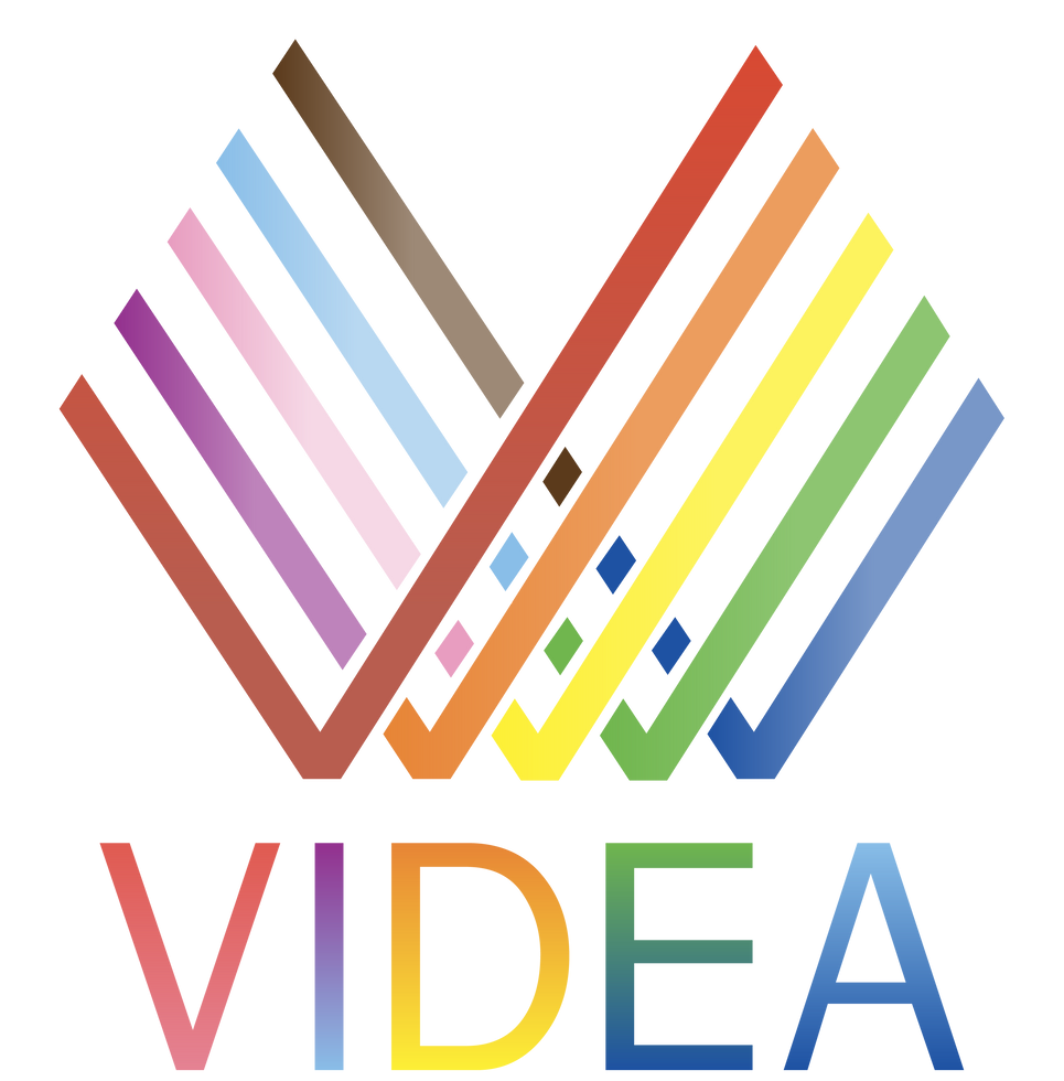 VIDEAPRIDEArtboard 1_4x_Dec_2_2025.png