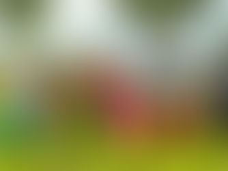 EUMC : De la dépendance forestière à l’autonomie financière 